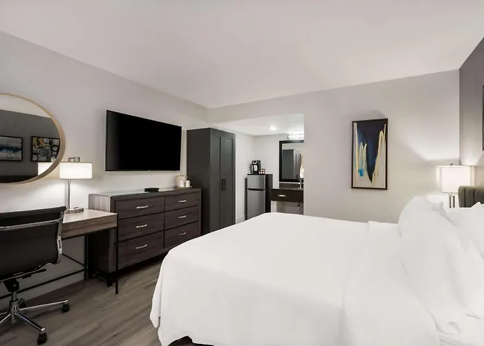 Revival Scottsdale