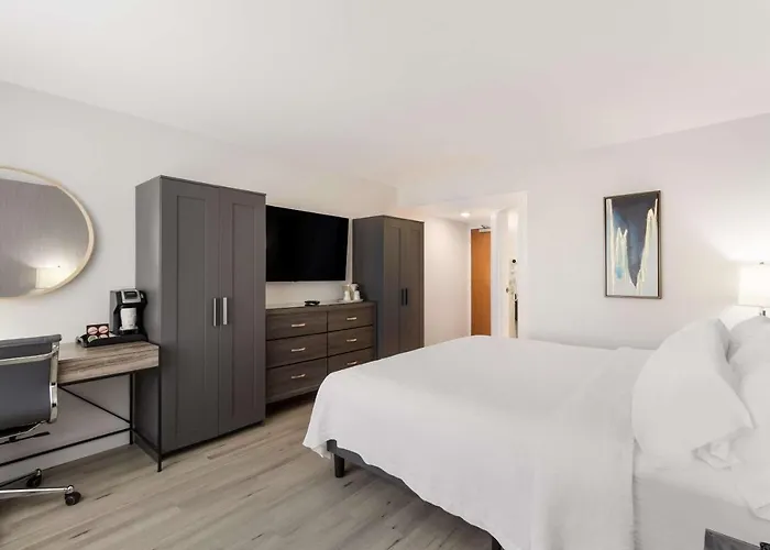 Revival 3* Scottsdale