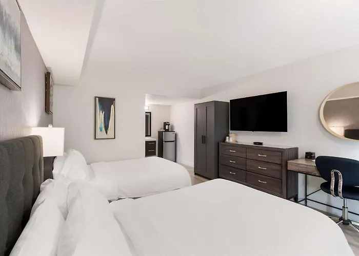 Revival Hotel 3*