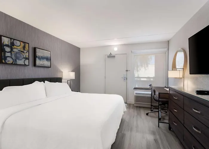 Revival Scottsdale