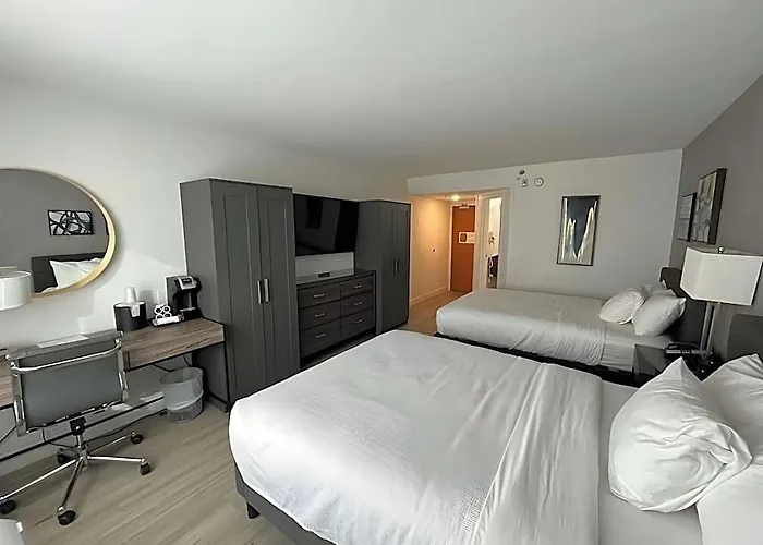 Revival 3* Scottsdale