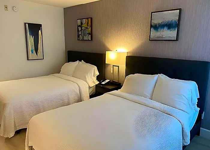 Revival Scottsdale